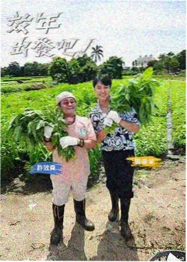 小马宝莉万圣节特辑